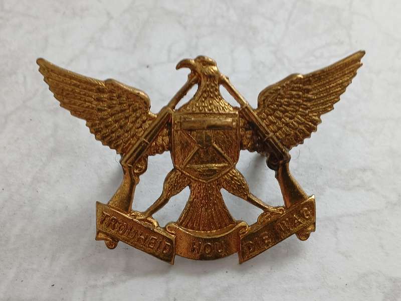 Regiment De Wet Cap Badge