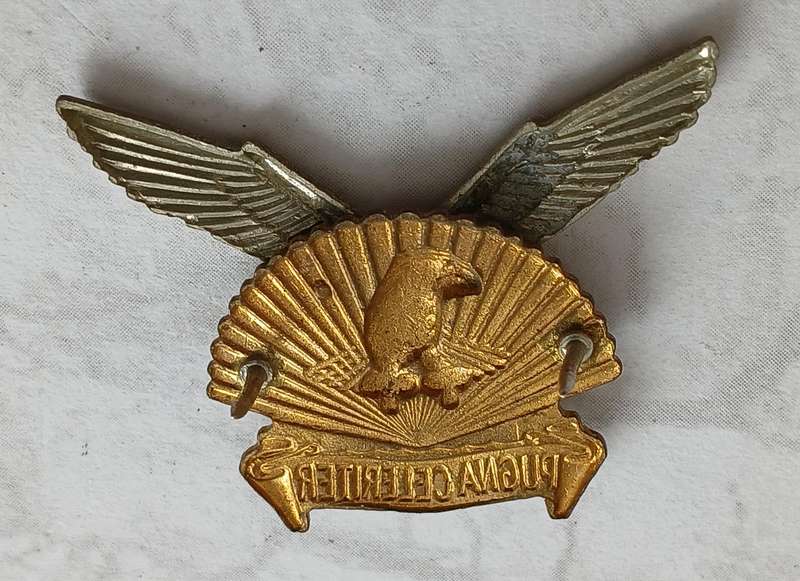 Durban Regiment Collar Badge