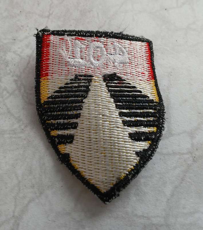 US Army - 401st Army Field Support Brigade Badge