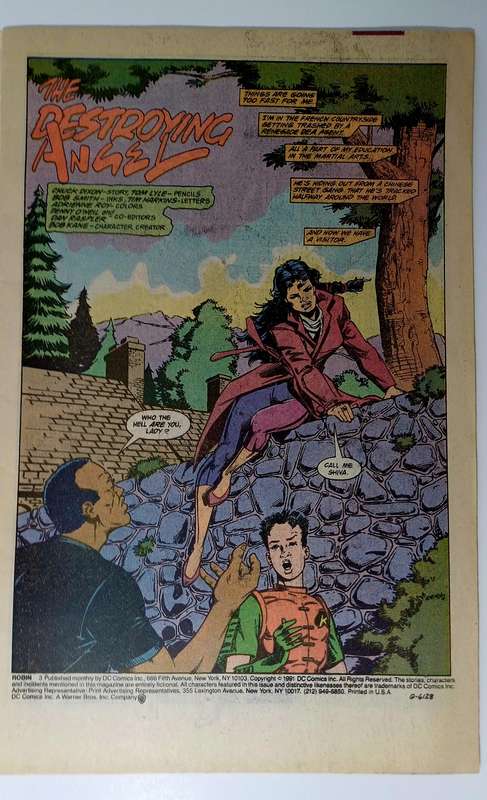 DC Comics Robin: 3 of 5 (March 1991) - A Key Issue in Robin's Legacy!
