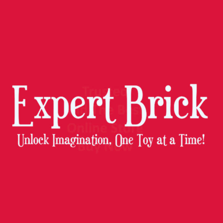 LEGO 10293 Icons Santas Visit (Hard-to-find)