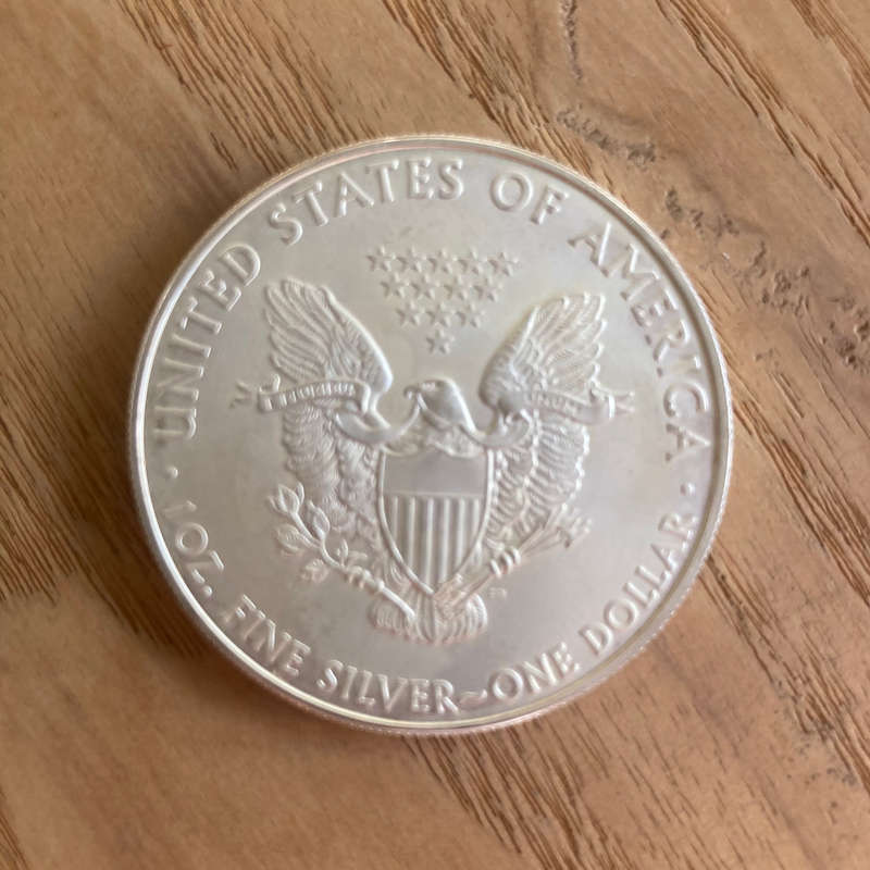 2010 USA 1oz silver dollar