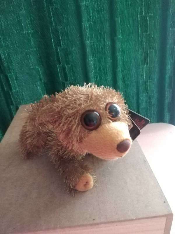 Twisted Whiskers 9" Plush Toy