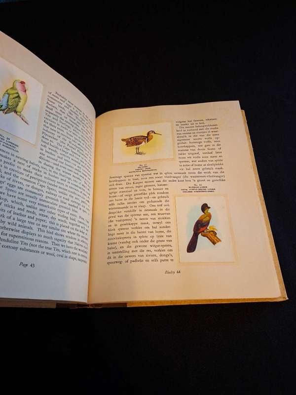 Our South African Birds Cigarette Book