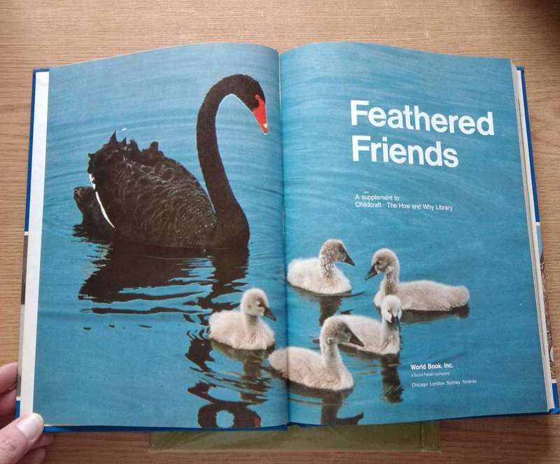 Feathered Friends A Childcraft Supplement