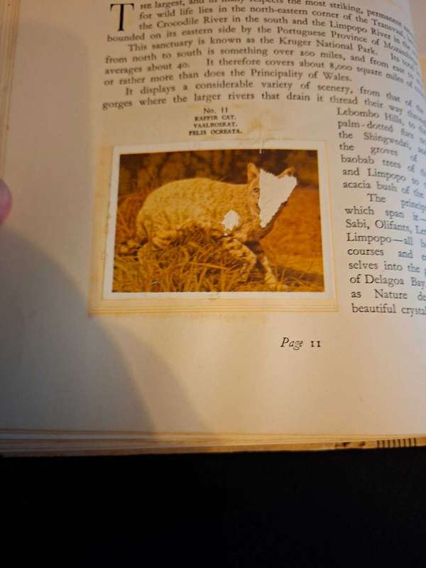 Our South African National Parks Cigarette Book