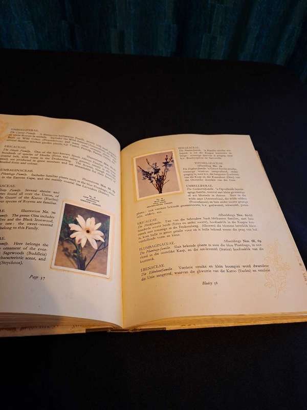 Our South African Flora Cigarette Book