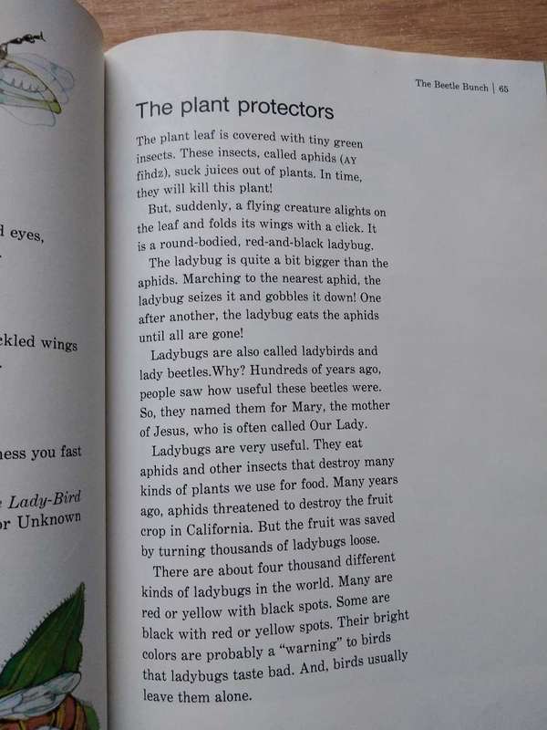 The Bug Book A Childcraft Supplement