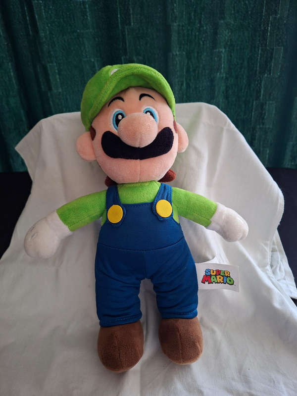 Mario and Luigi