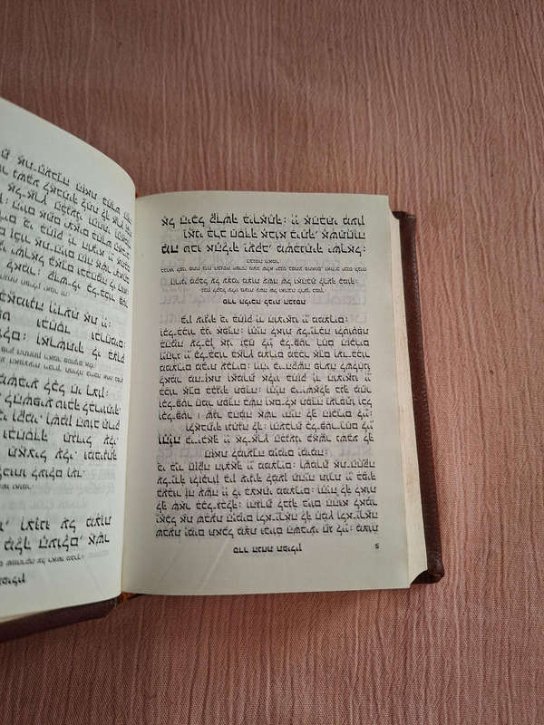 Hebrew Bible x2