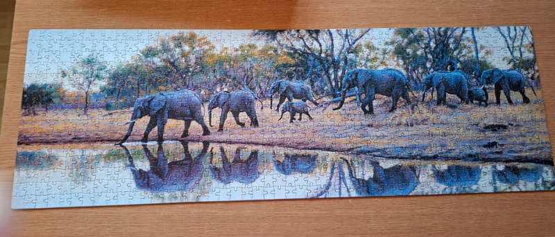 750 Piece Puzzle Down to the River