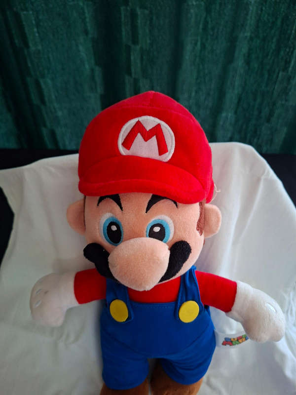 Mario and Luigi