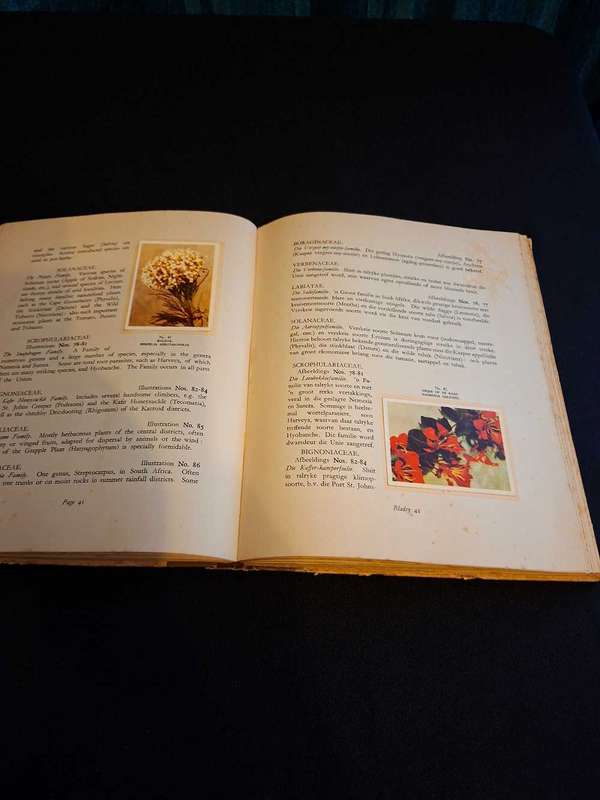 Our South African Flora Cigarette Book
