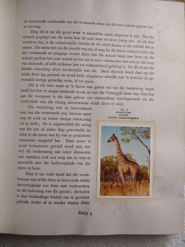 Our South African National Parks