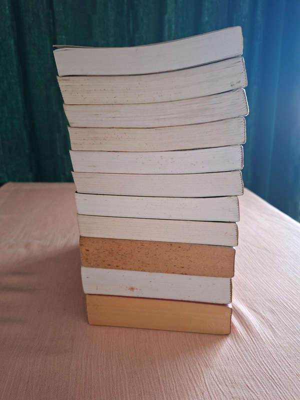 Tim LaHaye Jerry B. Jenkins Left Behind Books 1 to 11