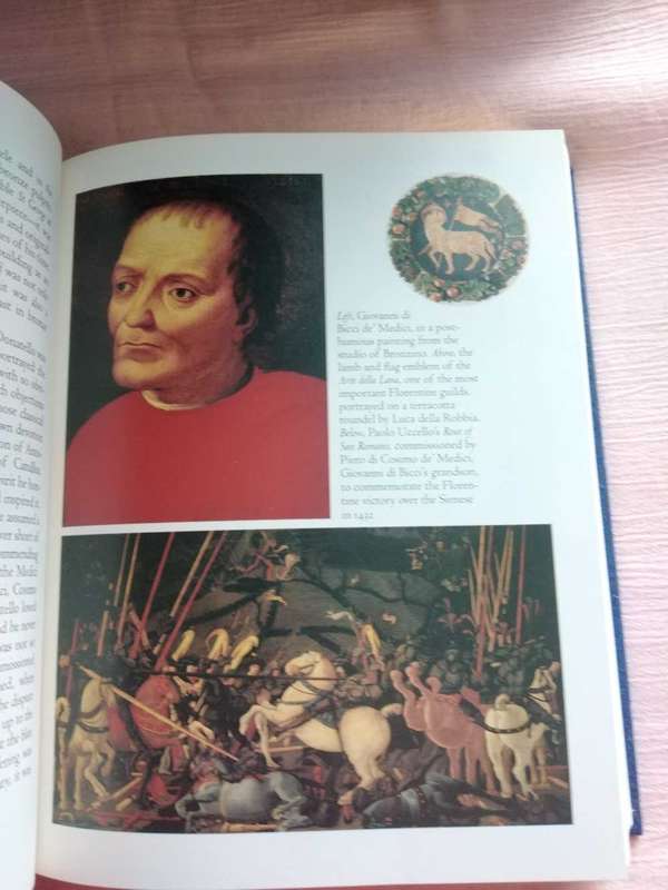 The Rise  and Fall of the House of MEDICI Christopher Hibbert