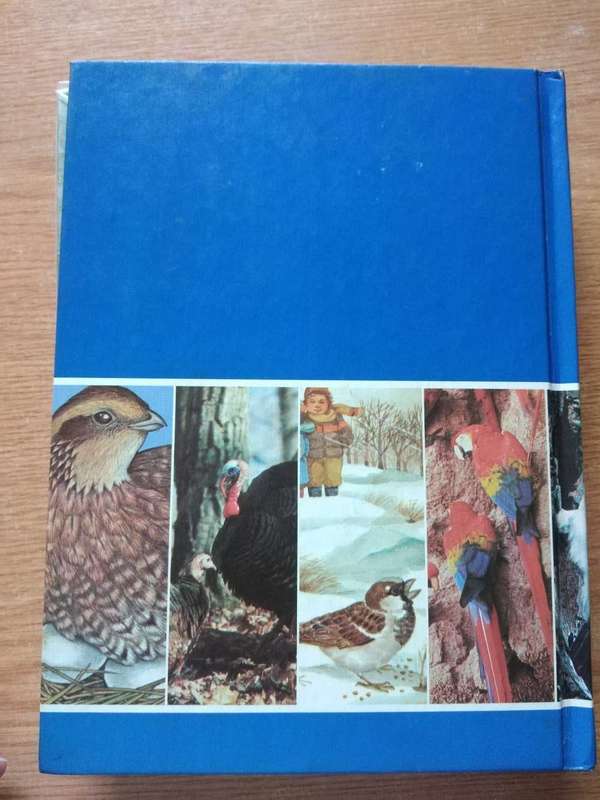 Feathered Friends A Childcraft Supplement