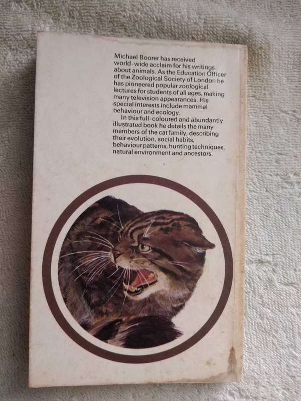 Michael Boorer Wild Cats