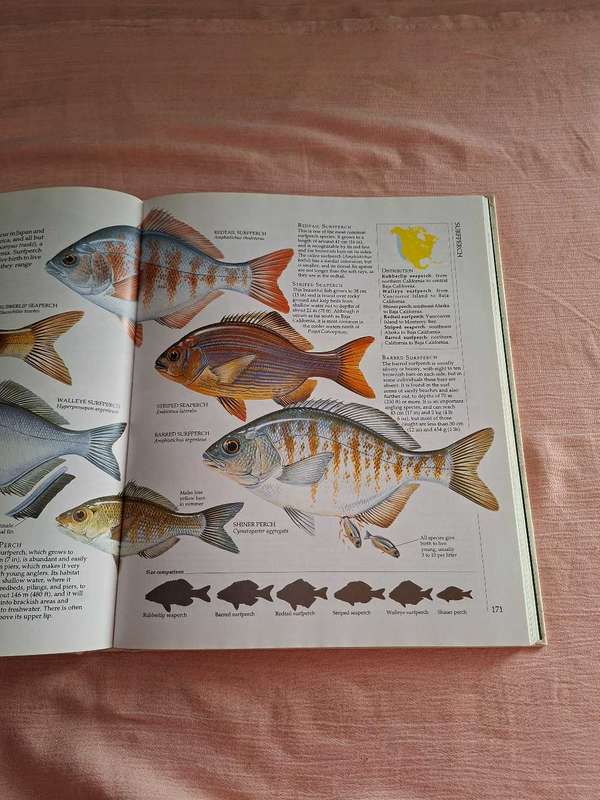 The Encyclopedia of Fishing Southern Book Publishers