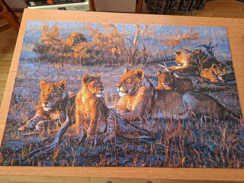 1500 Piece Puzzle After Glow
