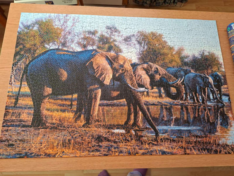 1500 Piece Puzzle Gathering Place