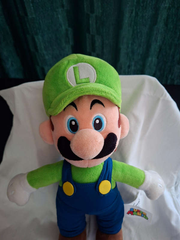 Mario and Luigi