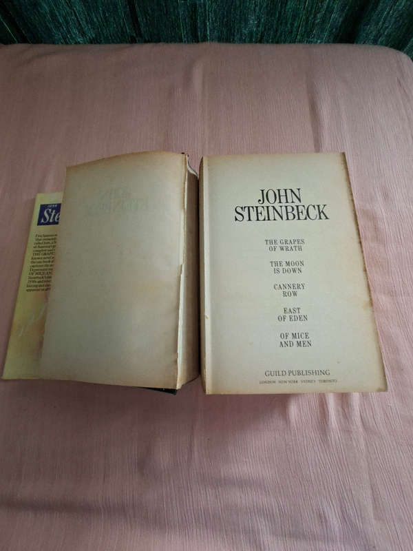 John Steinbeck 5 in 1