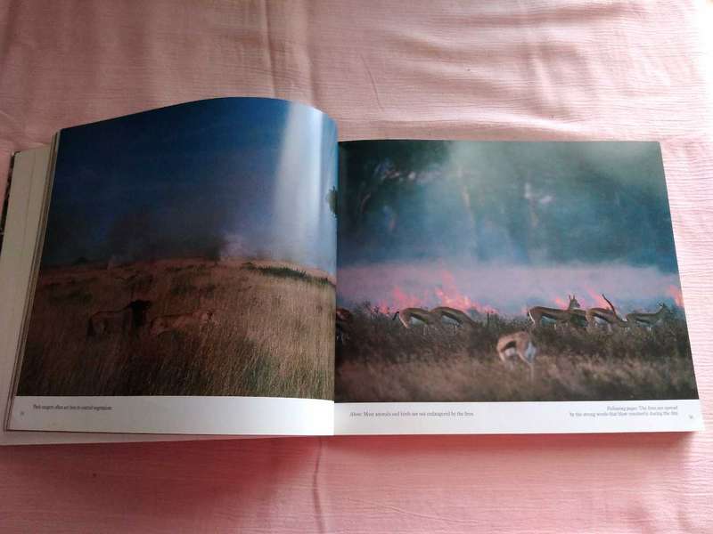 Serengeti Mitsuaki Iwago