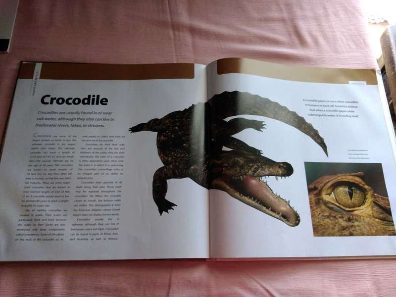 Snakes & other Reptiles Deborah M. Alexander