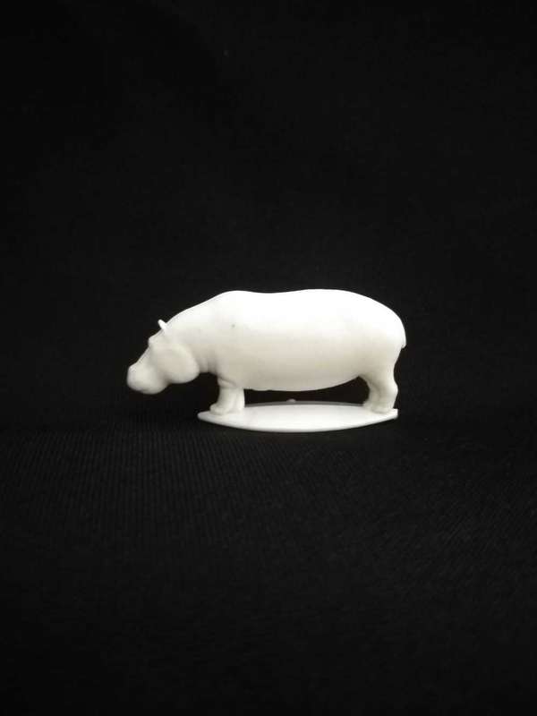 African Animal Hippopotamus