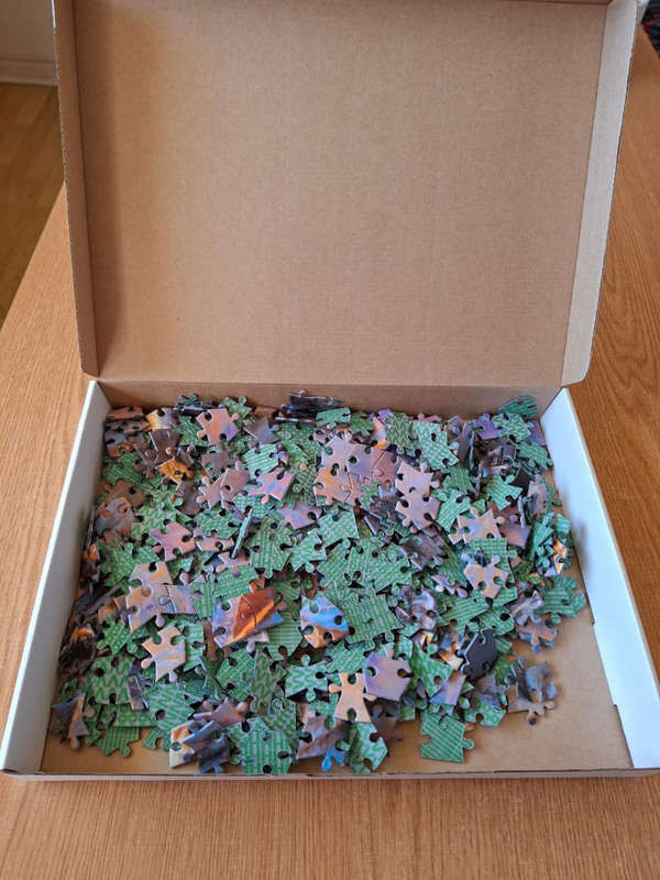 500 Piece Puzzle Joining the Pride