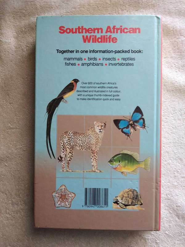 South African Wildlife