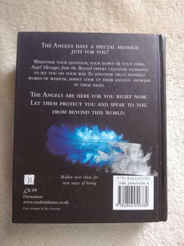 Juan Nakamori Angel Messages from the Beyond