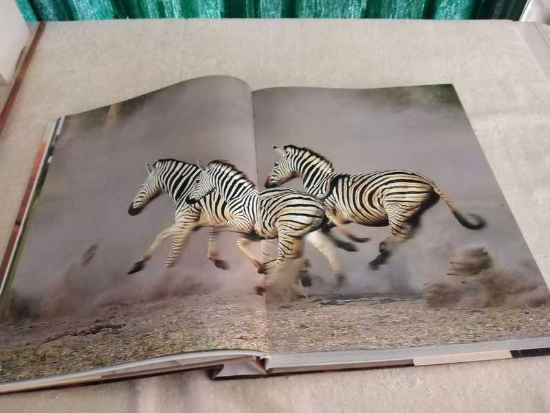 Michael Poliza Africa