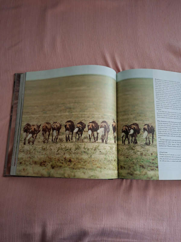 David Attenborough The Trials of Life