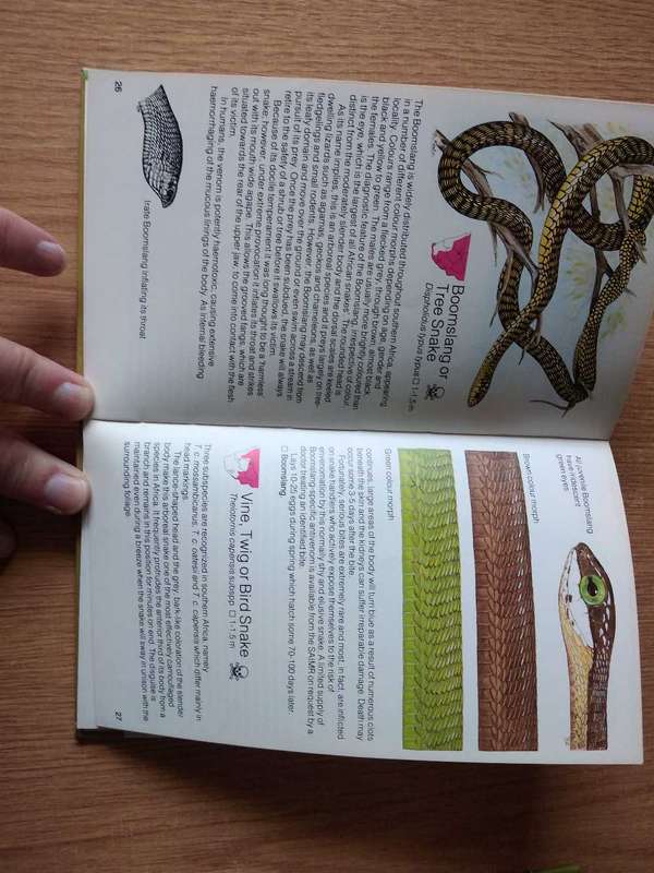 Struik pocket guides for Southern Africa - 3 assorted books on Snakes, spiders and sharks