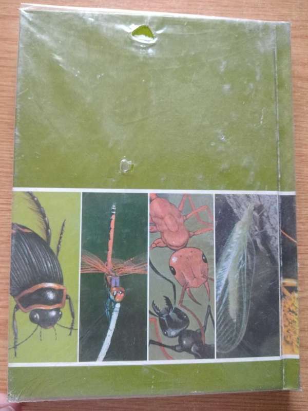 The Bug Book A Childcraft Supplement
