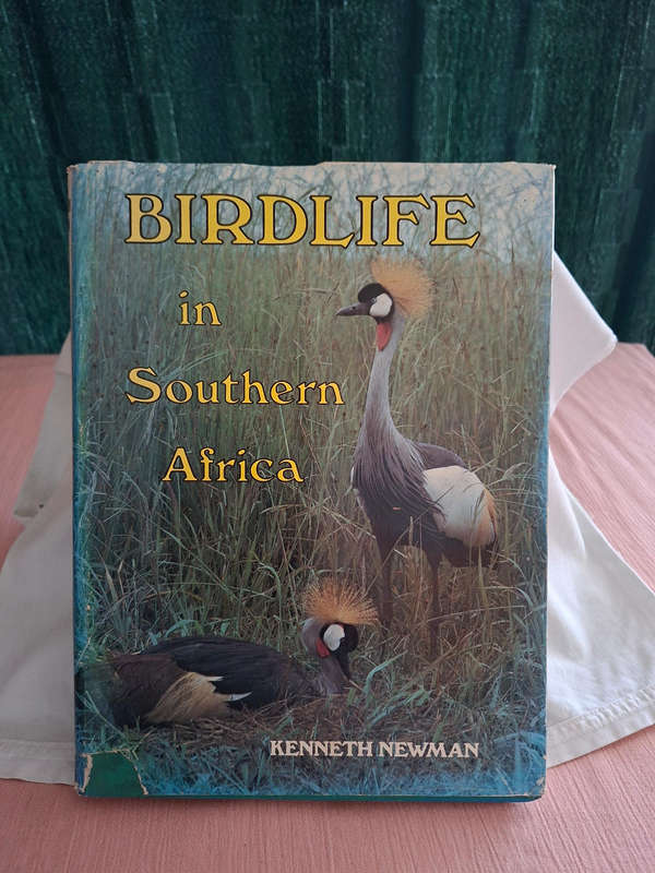 Kenneth Newman Birdlife in Southern Africa