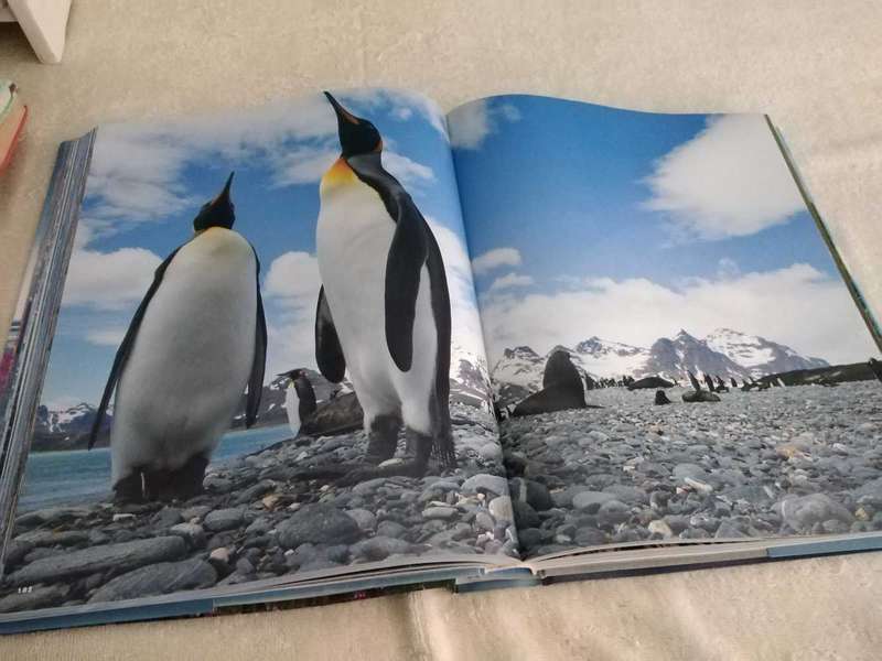 Michael Poliza Antarctic