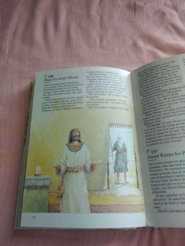The Children's Bible in 365 stories