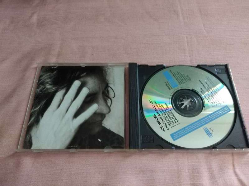 Joe Walsh Ordinary Average Guy