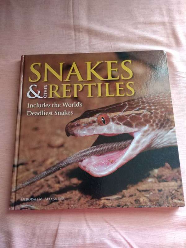 Snakes & other Reptiles Deborah M. Alexander
