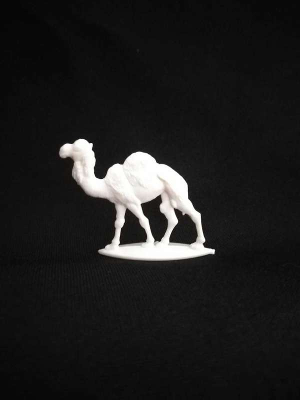 African Animal Camel Hard Plastic