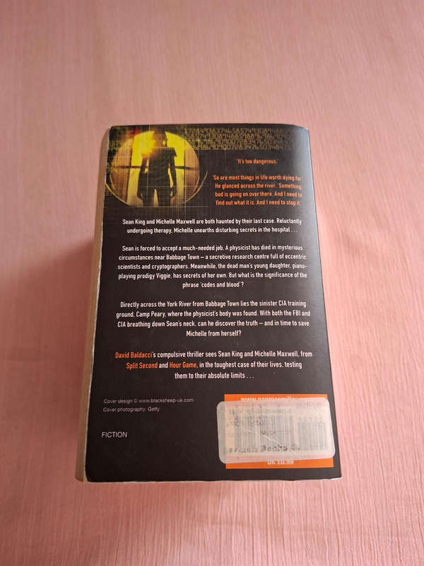 David Baldacci Simple Genius