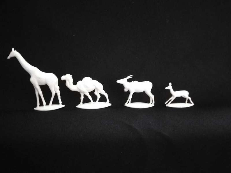 12 African Animals Hard Plastic