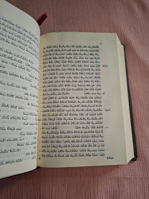 Hebrew Bible x2