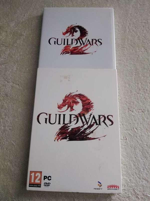 PC Game Guildwars 2