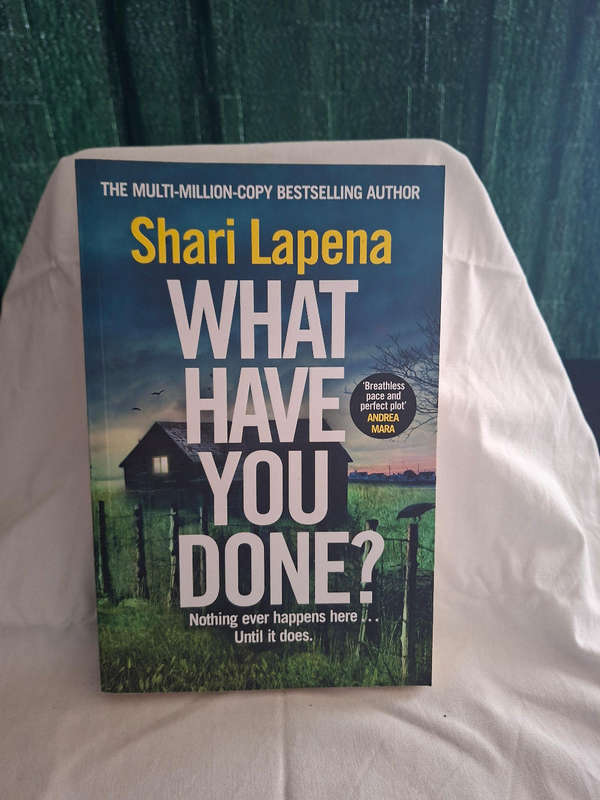 Shari Lapena What Have You Done?