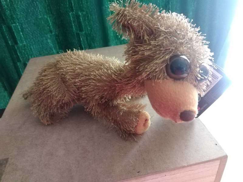 Twisted Whiskers 9" Plush Toy