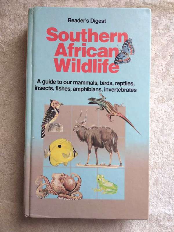 South African Wildlife